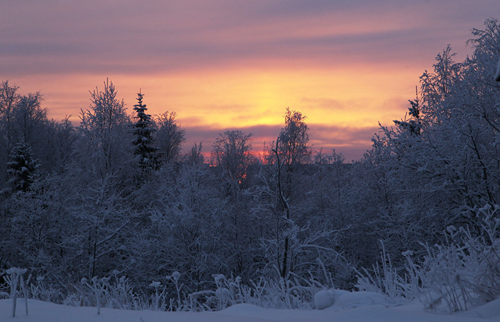 Arkhangelsk Region to expand list of land plots under Arctic Hectare program Arkhangelsk Region to expand list of land plots under Arctic Hectare program