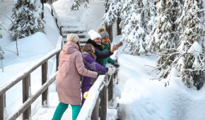 Roszapovedtsentr to design tourist routes in the Arctic’s protected areas