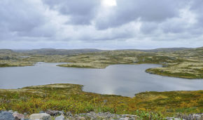 The President signs law on second Far Eastern hectare and Arctic hectare