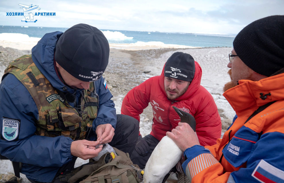 Work during the second stage of the Master of the Arctic 2021 project