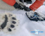 Work during the second stage of the Master of the Arctic 2021 project