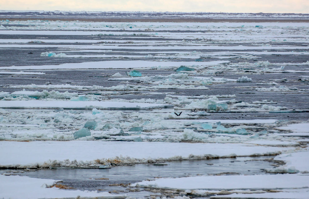 Scientists: It will rain, not snow, in the Arctic