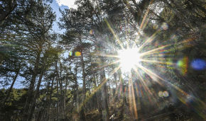 Verkhoyansk holds the record for 38°С in the Arctic