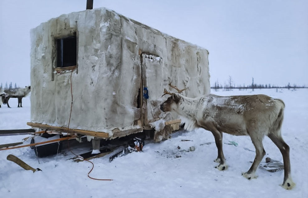 Nomadic Taimyr reindeer breeders and fishermen to get snap-together homes