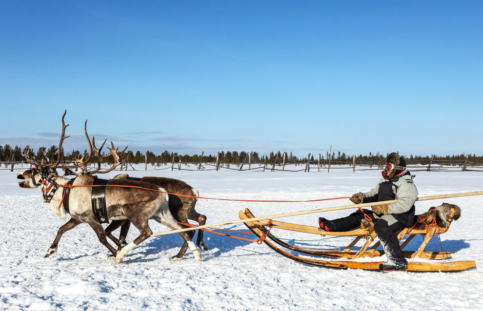 International Traditional Reindeer Herding Championship kicks off in Yakutia