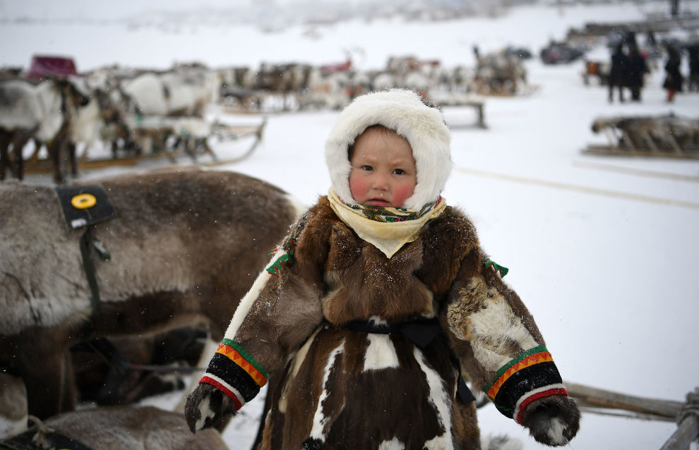 Russia to invest some 1.35 billion rubles in the Children of the Arctic program by 2025