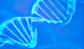 2-million-year-old DNA found in Greenland
