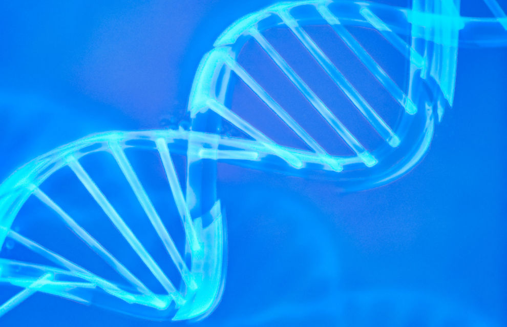 2-million-year-old DNA found in Greenland