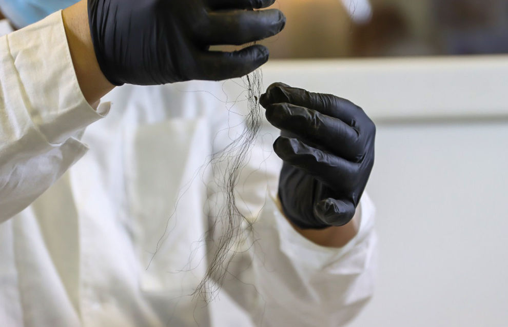 Scientists at the Mammoth Museum dissect an ancient bison at NEFU