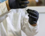 Scientists at the Mammoth Museum dissect an ancient bison at NEFU