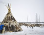  A yurt and reindeer