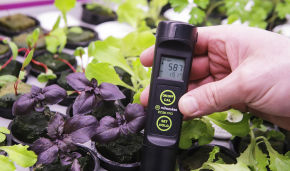 Russian researchers develop fertilizer for growing plants in the Arctic