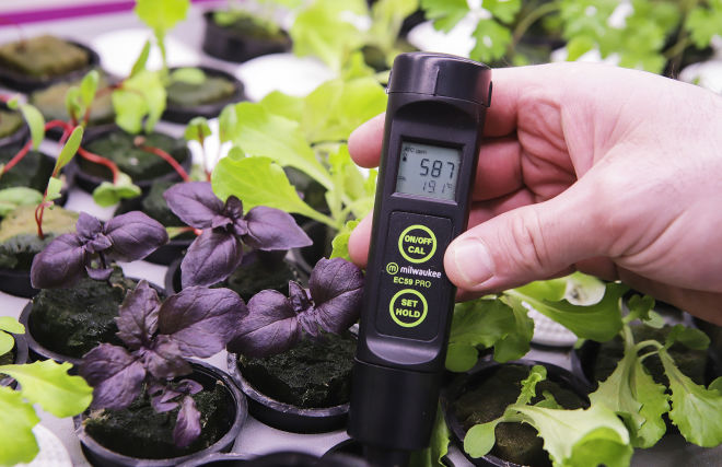 Russian researchers develop fertilizer for growing plants in the Arctic