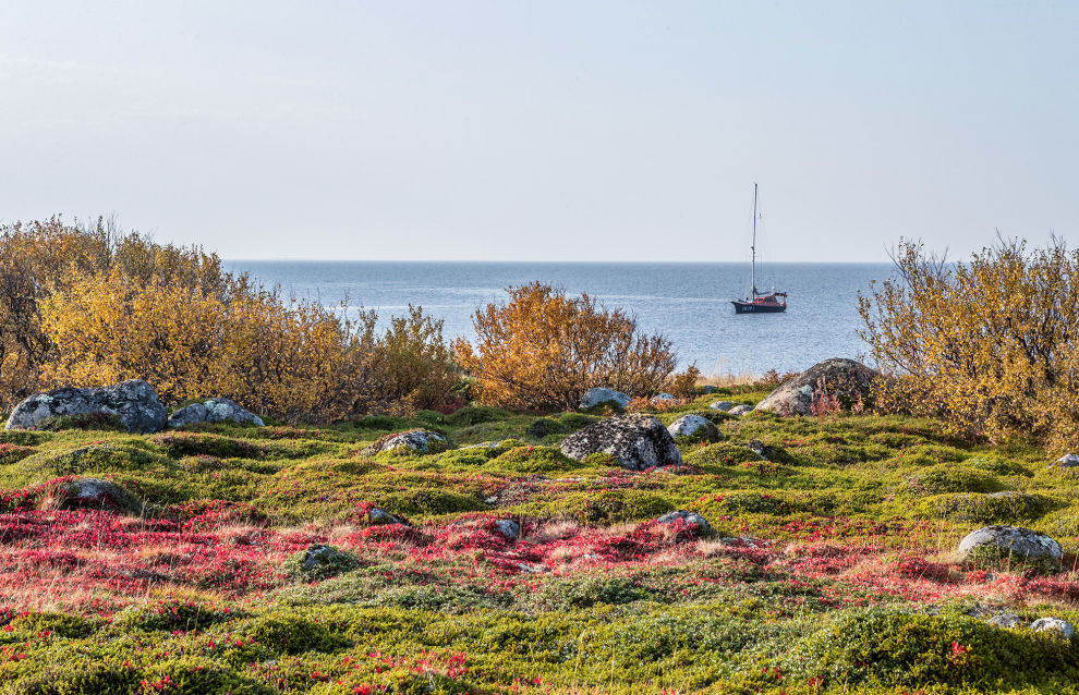 Alexander Tsybulsky: Cultural heritage sites to be restored on Mudyug Island