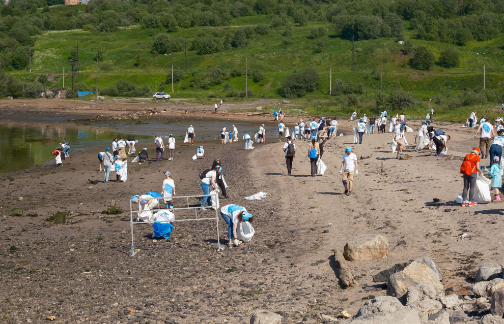 Volunteers have cleaned western coast of Kola Bay
