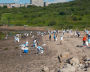 Volunteers have cleaned western coast of Kola Bay