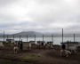 A husky kennel is seen in the settlement of Barentsburg on the Svalbard archipelago