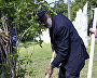 Artur Chilingarov plants a lilac bush