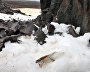 In the Footsteps of Two Captains