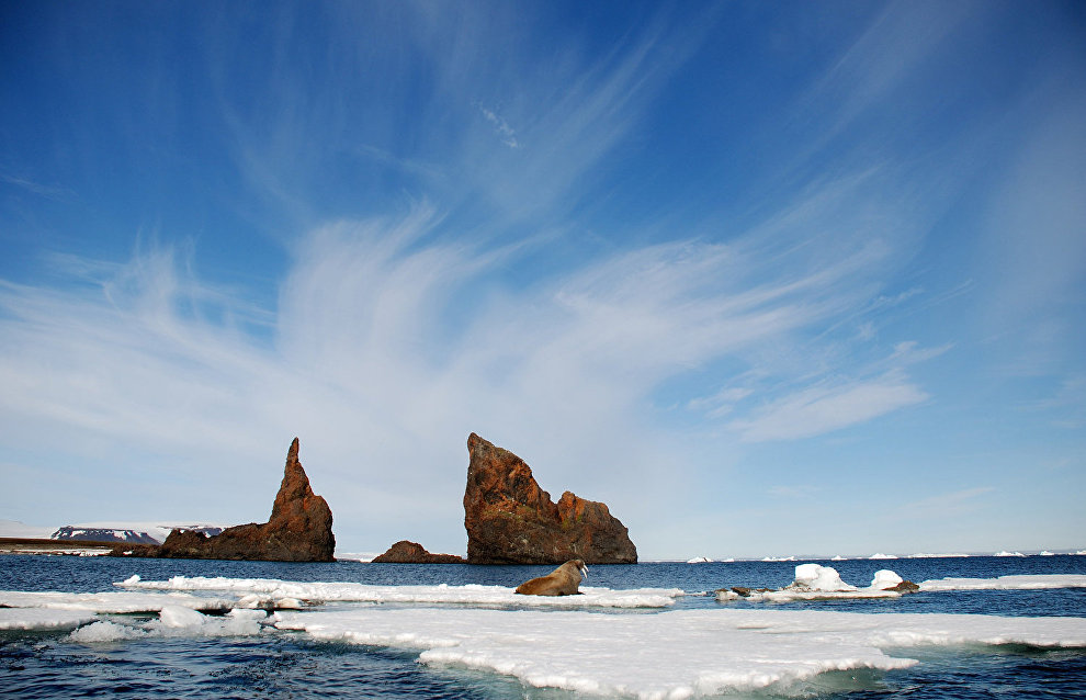 Hall Island, Cape Tegetthoff
