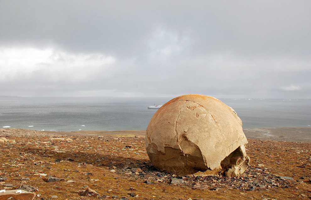 Round stones on Champ Island