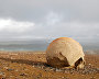 Round stones on Champ Island