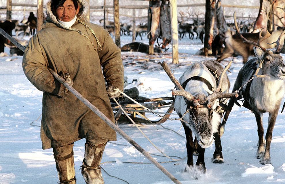Camp of reindeer herders