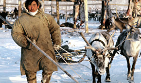 Camp of reindeer herders