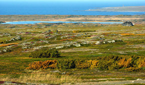 Rosneft to create an industrial park to develop the Arctic shelf
