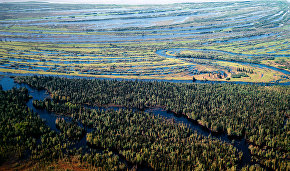 Ancient man campsite offered for tourists in Yamalo-Nenets Autonomous Area