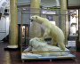 The Museum of the Arctic and Antarctic
