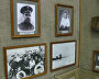 The Museum of the Arctic and Antarctic