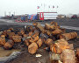 Cleaning up the Arctic