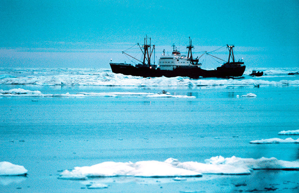 Construction of military compounds is nearing completion on Cape Schmidt and Wrangel Island