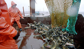 Arctic countries agree on regional fishing ban