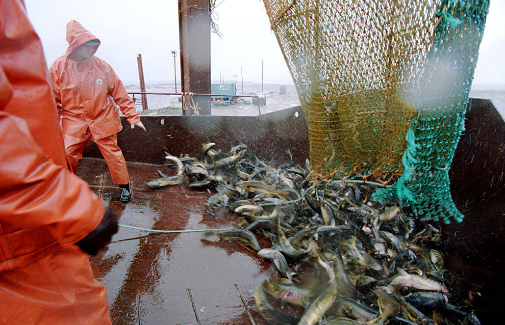 Arctic countries agree on regional fishing ban