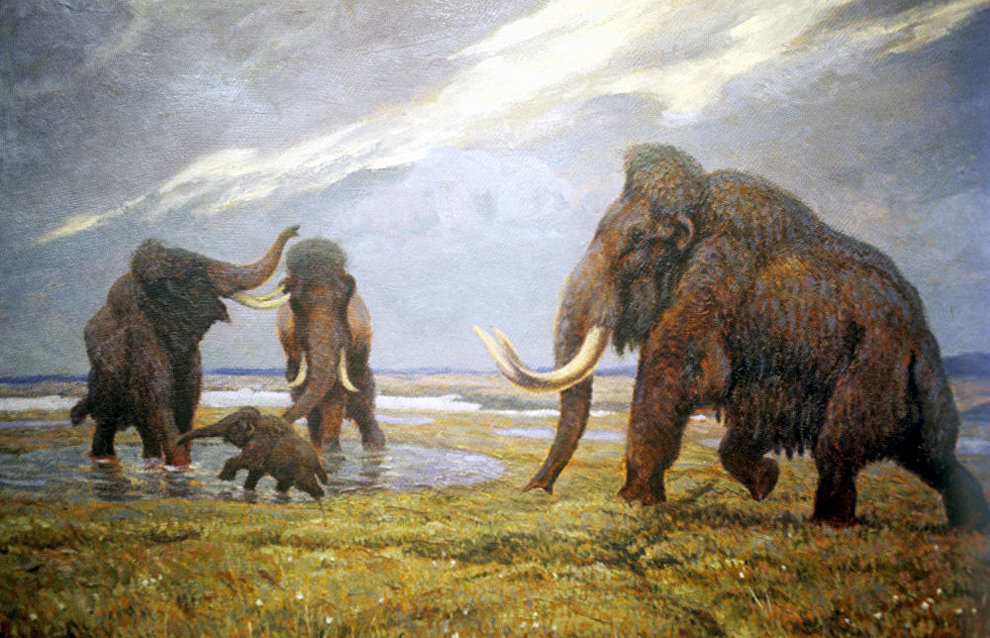 Scientists: Climate change, not humans, are to blame for the mammoth's extinction