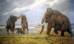 Scientists: Climate change, not humans, are to blame for the mammoth's extinction