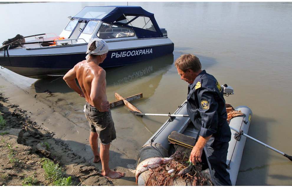Forty fishing regulation violations exposed in Nenets Autonomous Area