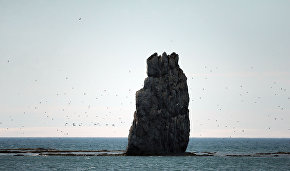 Russian-Chinese sail expedition to cover Northern Sea Route in 14 days