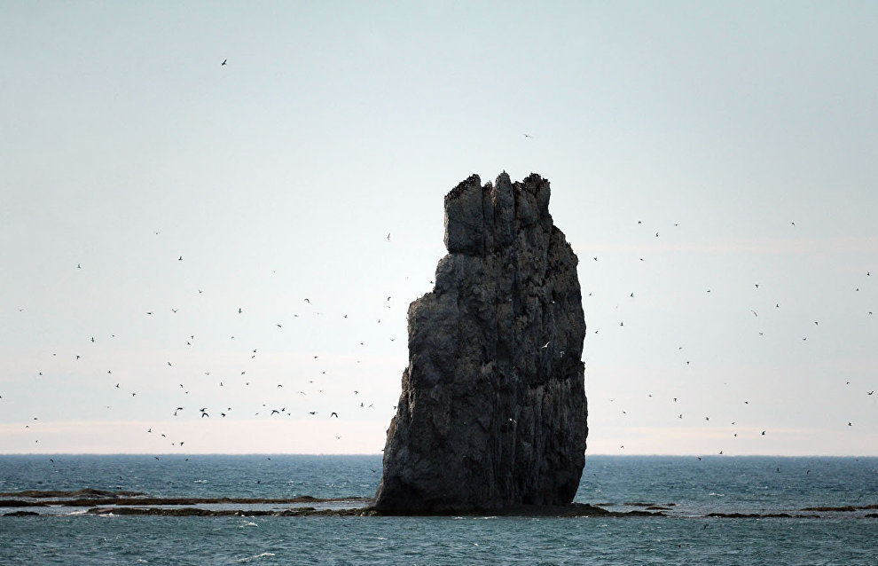 Russian-Chinese sail expedition to cover Northern Sea Route in 14 days