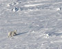 AviaKara-2015 expedition