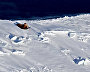 AviaKara-2015 expedition