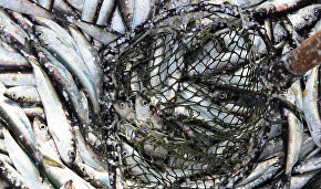 Russia and US to sign agreement to combat illegal fishing