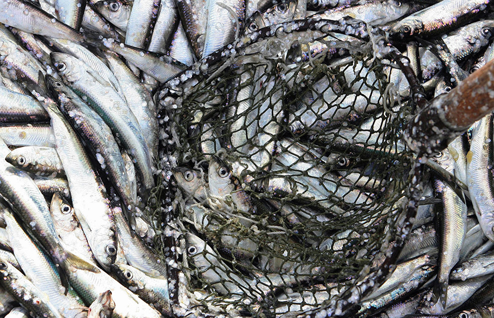 Russia and US to sign agreement to combat illegal fishing