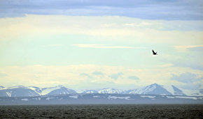 Northern Fleet hydrographers discover a new island in the Russian Arctic