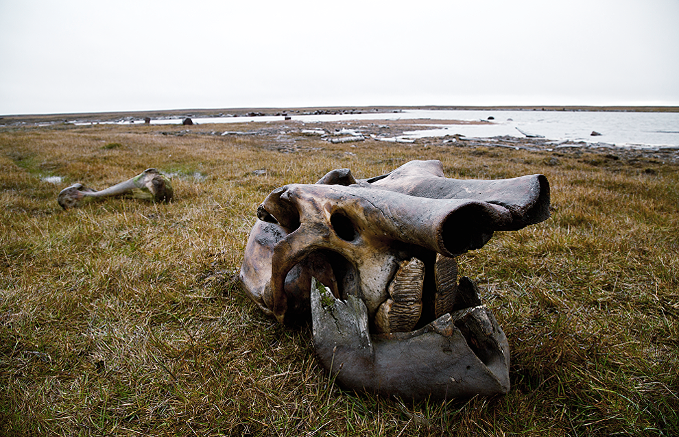 New Siberian Islands