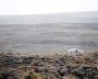 Wildlife on the New Siberian Islands