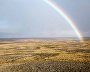 Wildlife on the New Siberian Islands