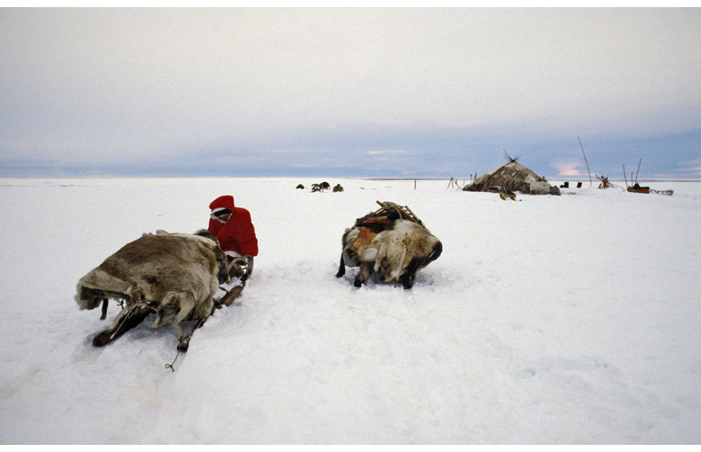 New weekend tour to Reindeer Land